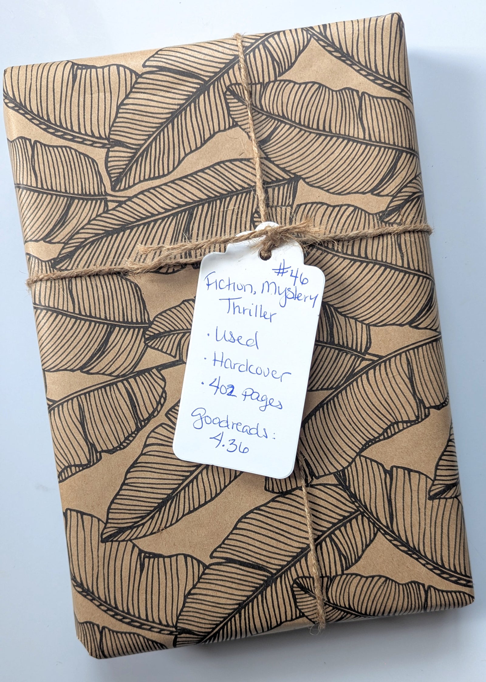 Blind Book #46, Used - Mystery, Fiction, Thriller