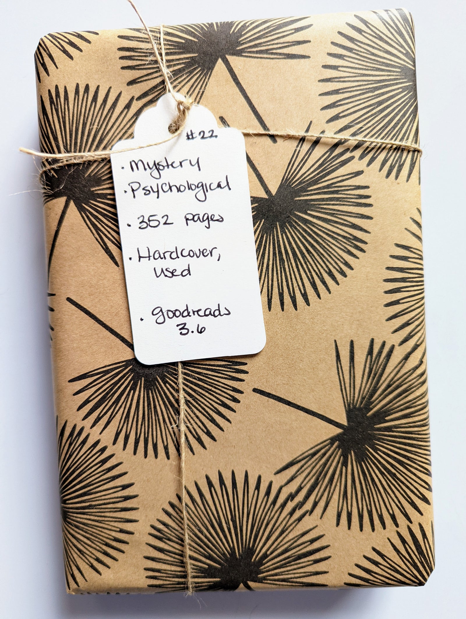 Blind Book #22 - Psychological Mystery