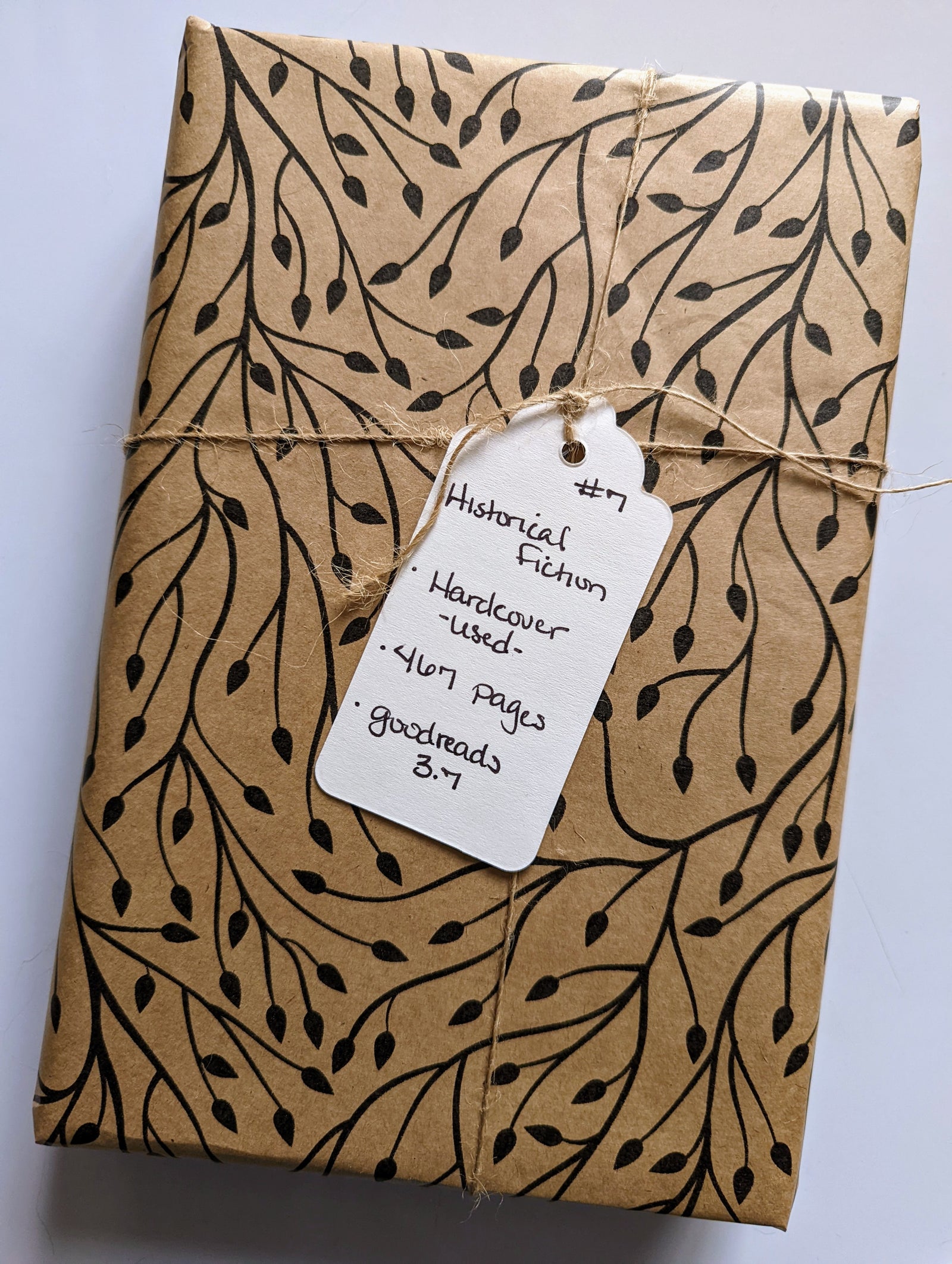 Blind Book #7 - Historical Fiction, Political