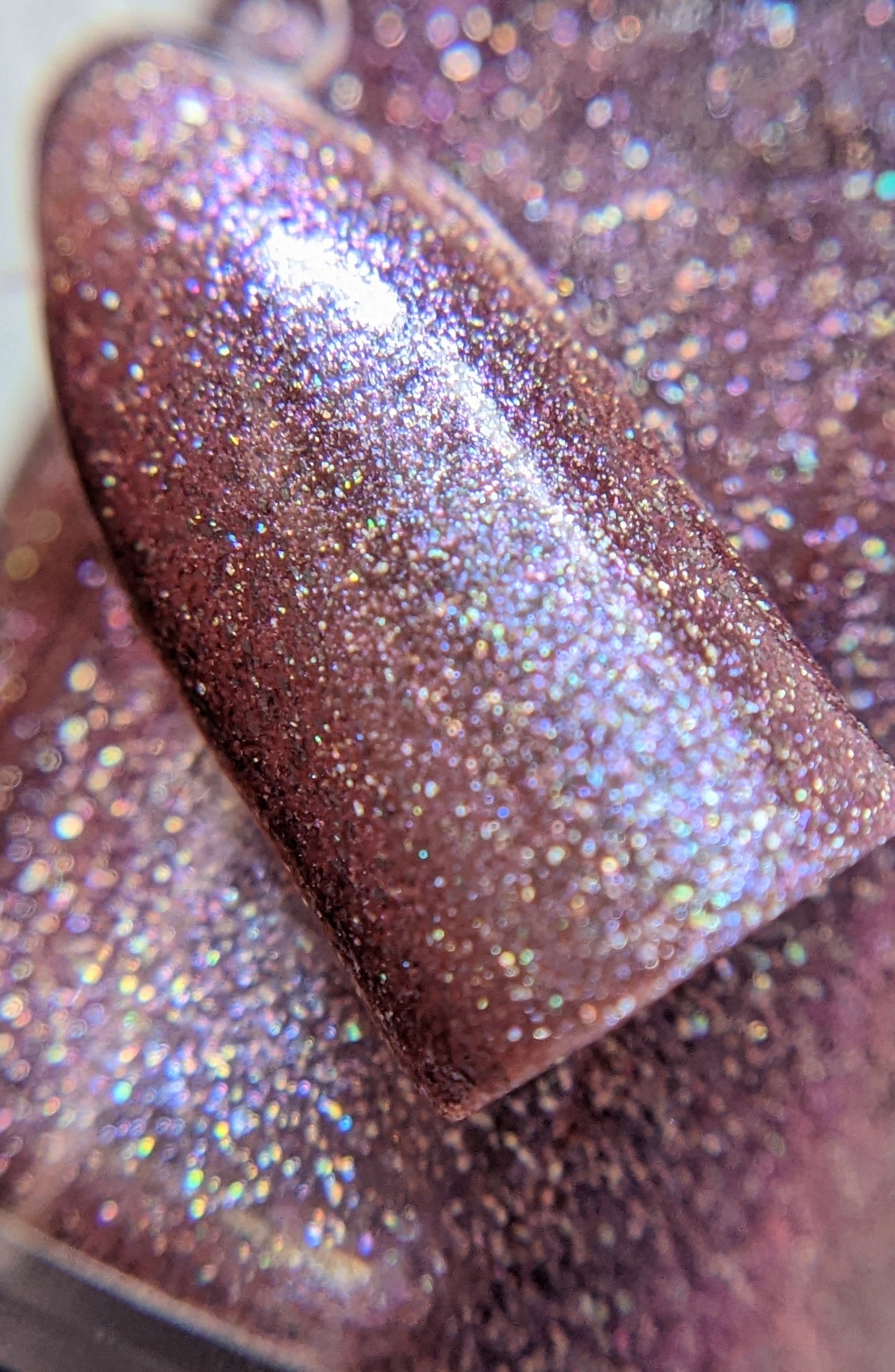 Briar Rose